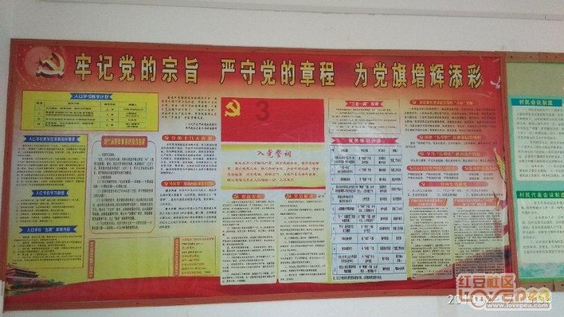 苏菲亚安伯时装秀